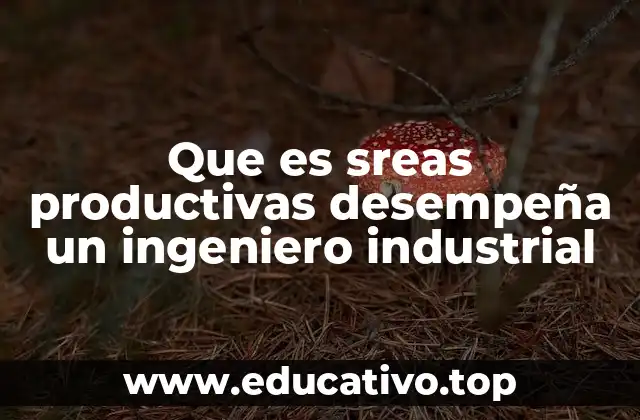 El rol del ingeniero industrial en la optimización de procesos