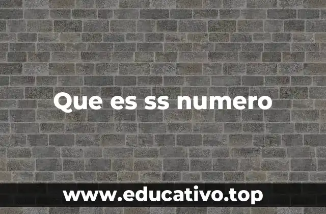 El número de Seguro Social como identificador único