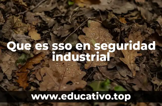 Que es sso en seguridad industrial