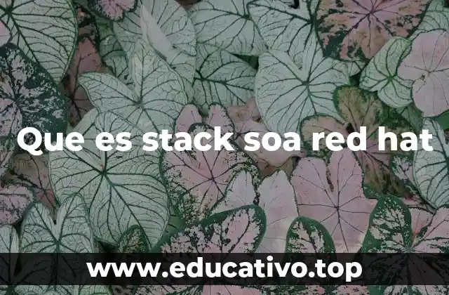 Que es stack soa red hat