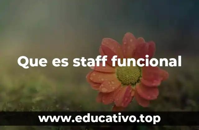 Que es staff funcional