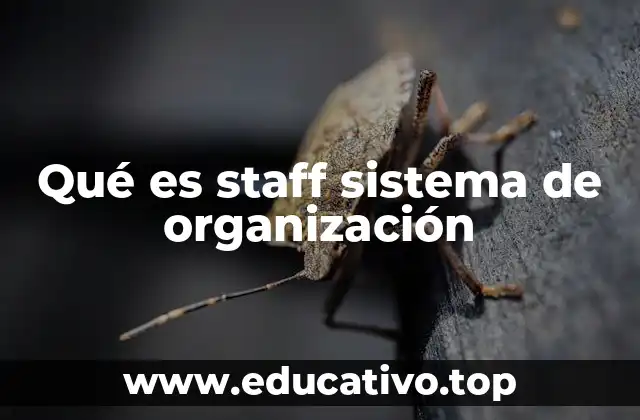 La importancia de la colaboración entre staff y línea