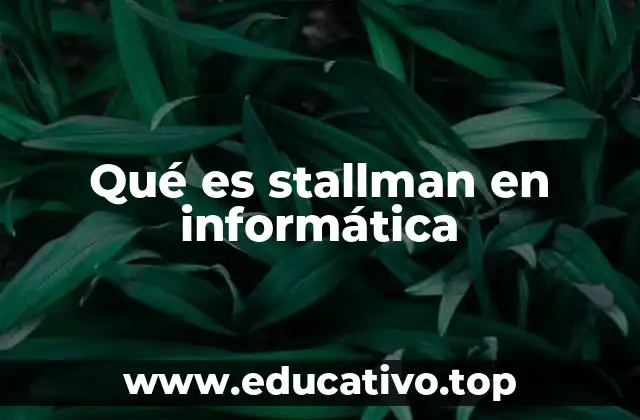 Qué es stallman en informática