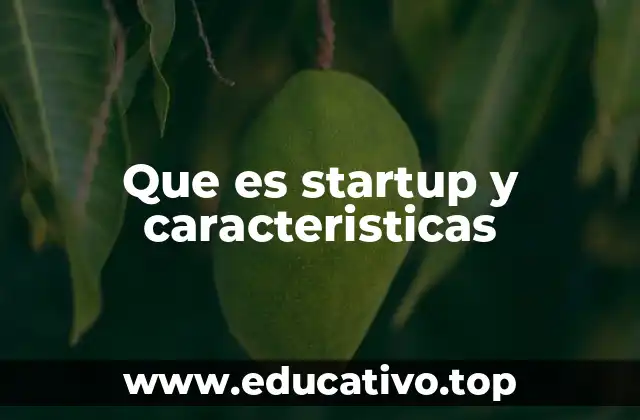 Que es startup y caracteristicas