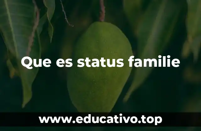 Que es status familie