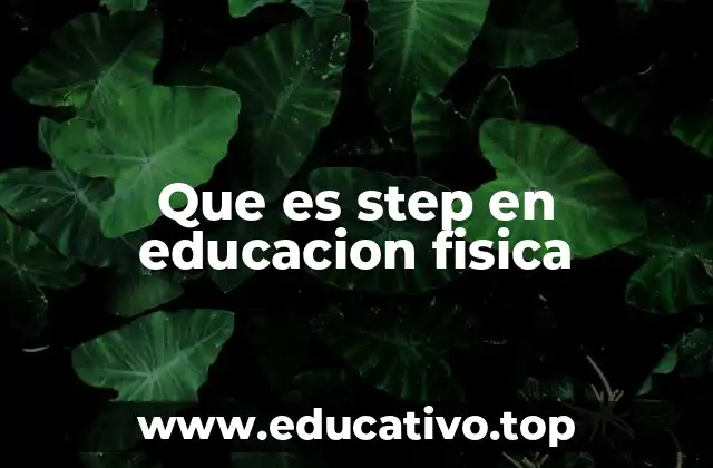 Que es step en educacion fisica