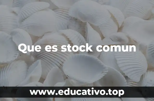 Que es stock comun
