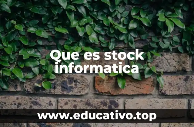 Que es stock informatica