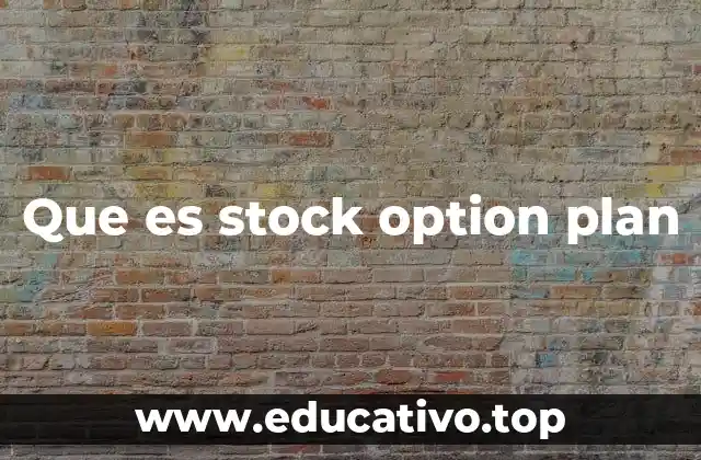 Que es stock option plan