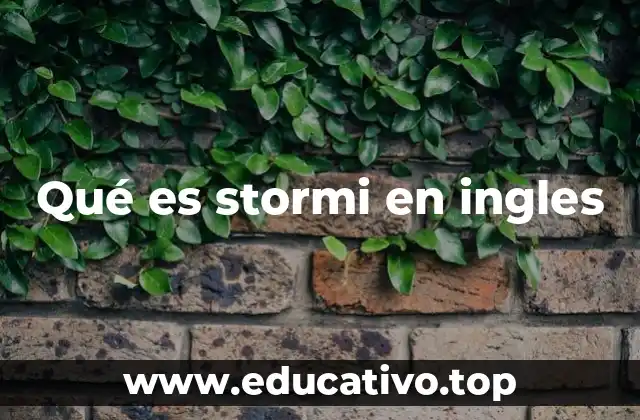 Qué es stormi en ingles