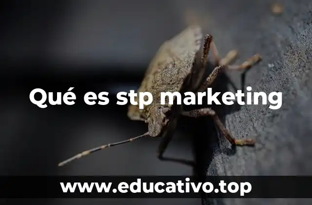 Qué es stp marketing