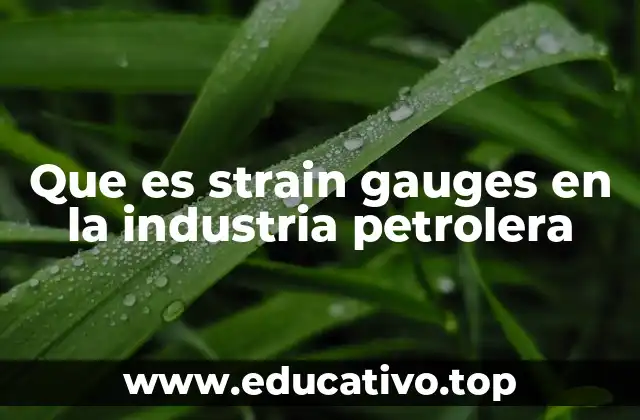 Aplicaciones de los strain gauges en entornos petroleros