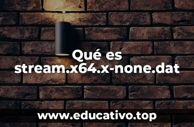 Qué es stream.x64.x-none.dat