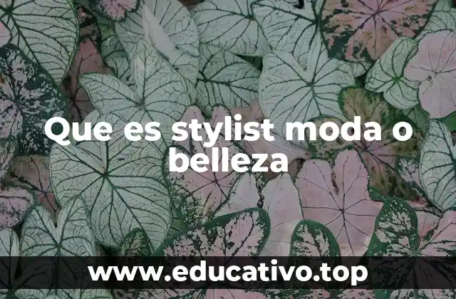 Que es stylist moda o belleza