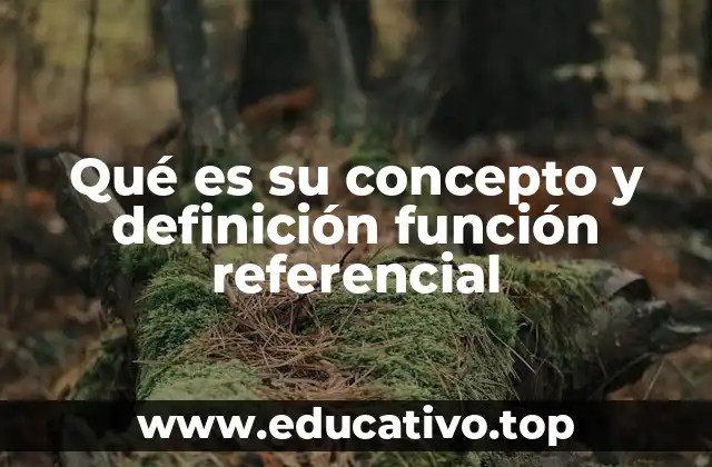 Qué es su concepto y definición función referencial