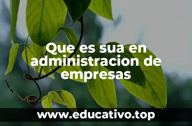 Que es sua en administracion de empresas