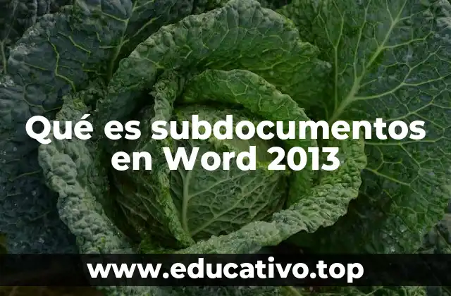 Qué es subdocumentos en Word 2013