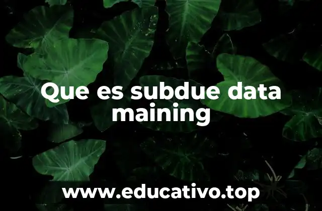 Que es subdue data maining