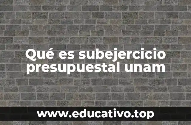 Qué es subejercicio presupuestal unam
