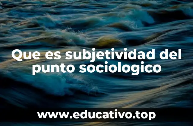 Que es subjetividad del punto sociologico