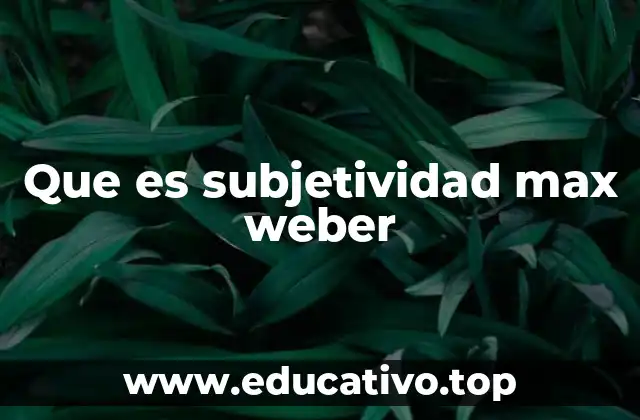Que es subjetividad max weber