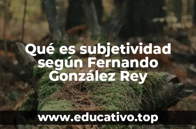 Qué es subjetividad según Fernando González Rey