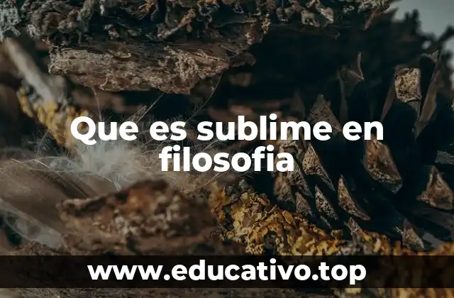 Que es sublime en filosofia