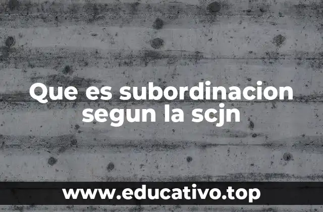 Que es subordinacion segun la scjn