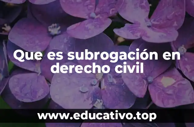 Que es subrogación en derecho civil