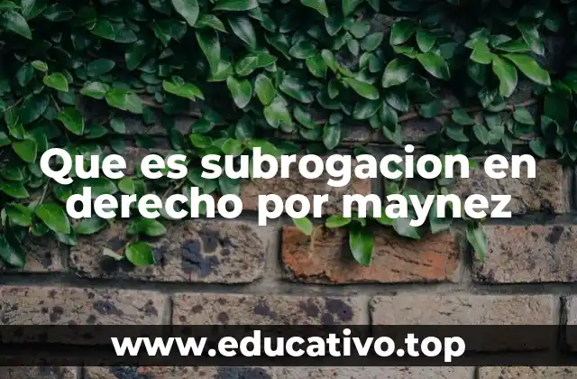 Que es subrogacion en derecho por maynez