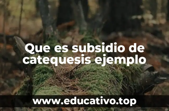 Que es subsidio de catequesis ejemplo