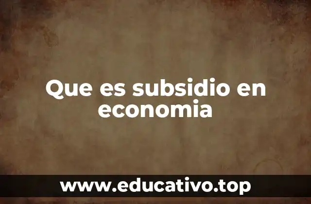 Que es subsidio en economia