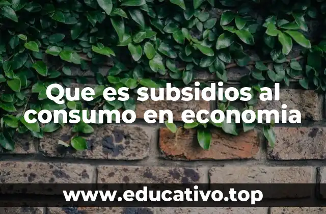 Que es subsidios al consumo en economia