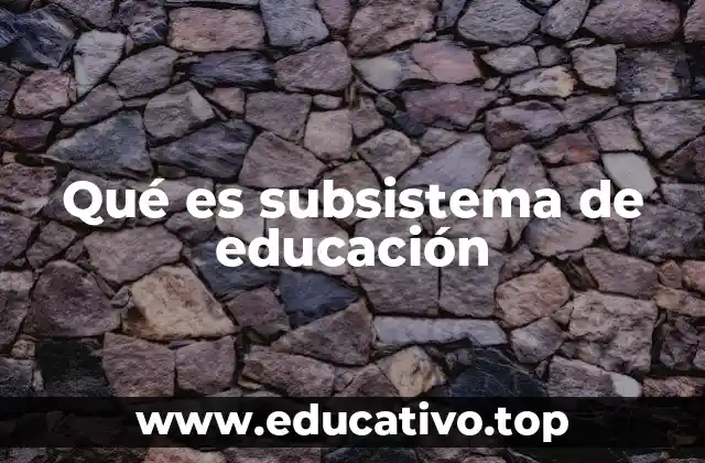 Qué es subsistema de educación