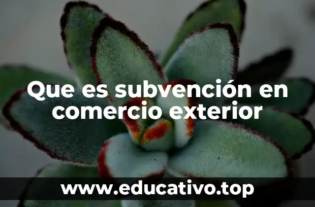 Que es subvención en comercio exterior