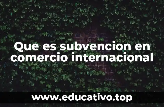 Que es subvencion en comercio internacional