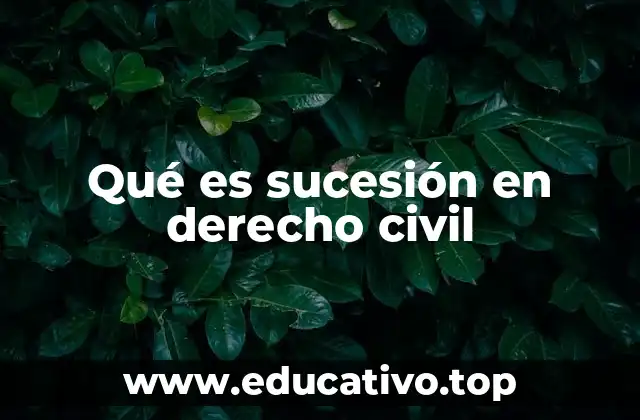 Qué es sucesión en derecho civil