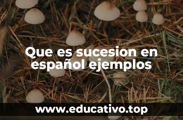 Que es sucesion en español ejemplos