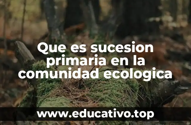 Que es sucesion primaria en la comunidad ecologica