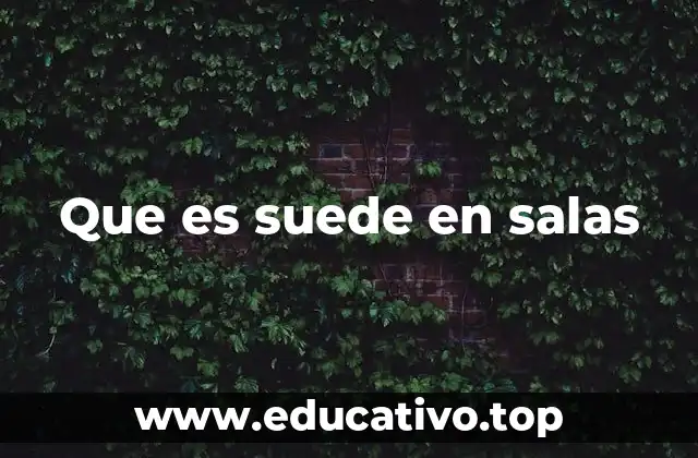 Que es suede en salas