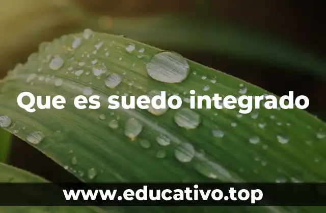 Que es suedo integrado