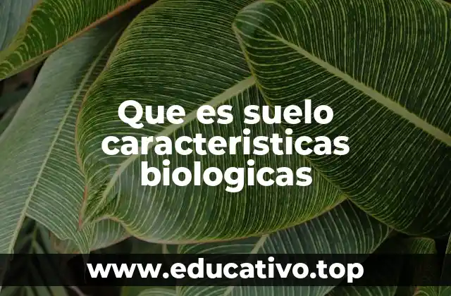 Que es suelo caracteristicas biologicas