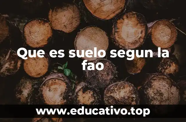 Que es suelo segun la fao