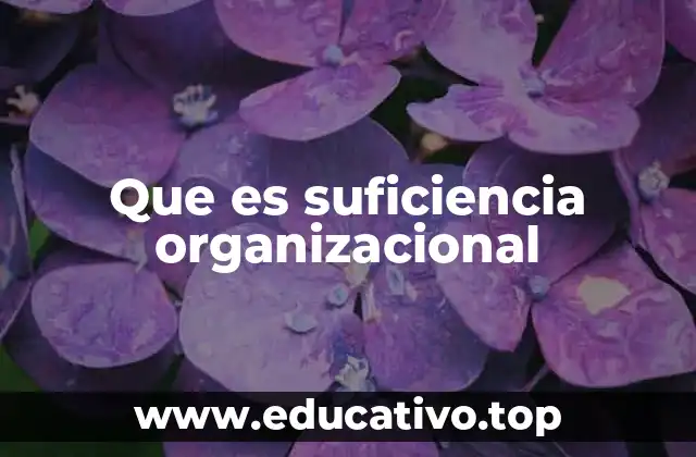 Que es suficiencia organizacional