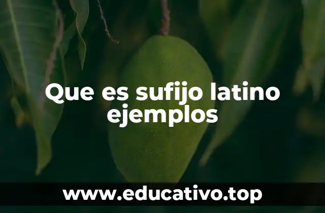 Que es sufijo latino ejemplos
