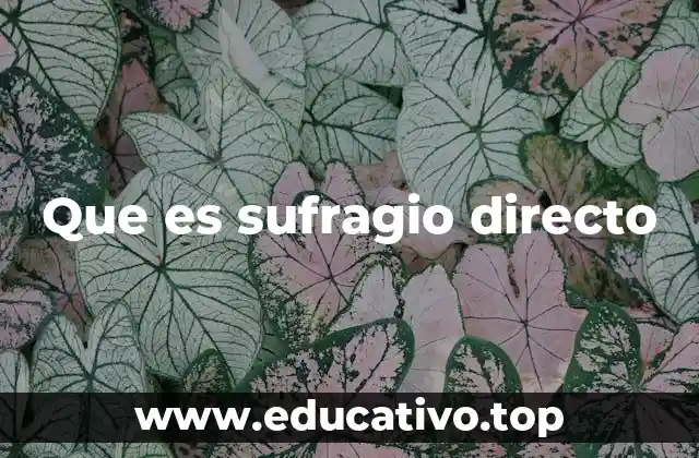 Que es sufragio directo