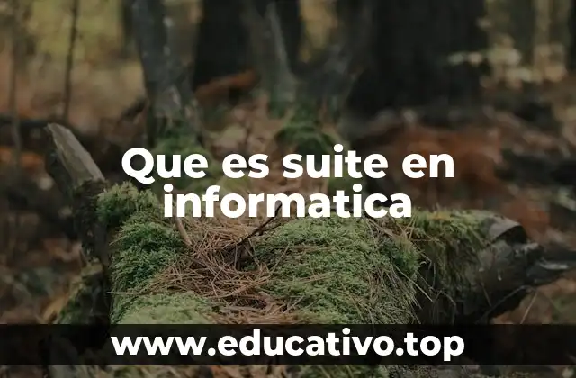 Que es suite en informatica