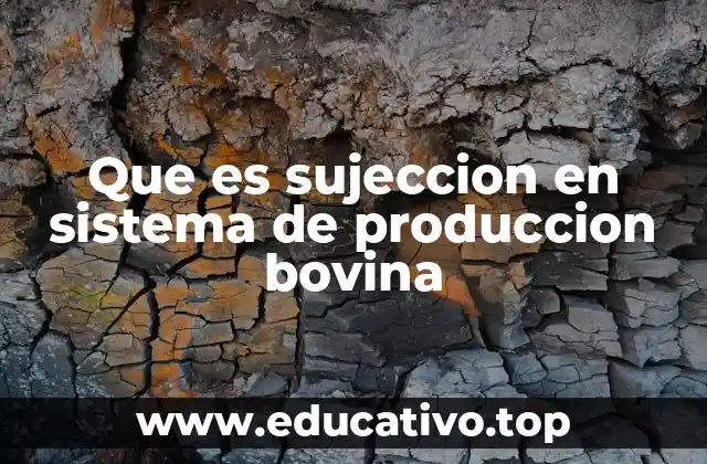 Que es sujeccion en sistema de produccion bovina