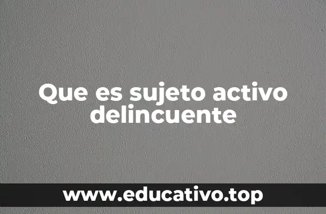 Que es sujeto activo delincuente