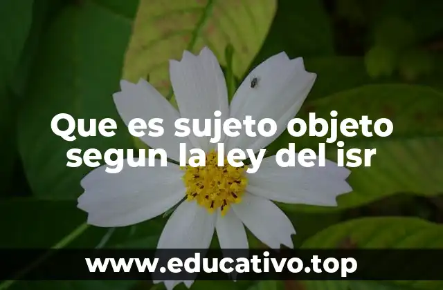 El papel del sujeto y el objeto en el marco legal del ISR